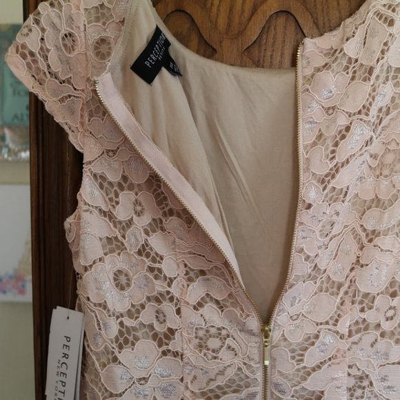 PERCEPTIONS New York Blush Nude Lace Sheath Dress - NWT! - Picture 9 of 16